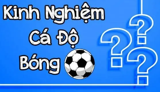 10 kinh nghiệm cá độ được các cao thủ truyền tay nhau