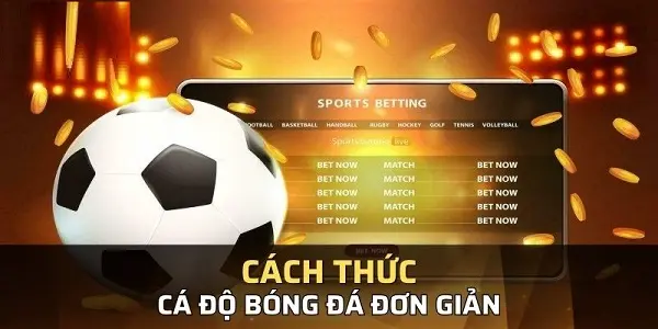 Điểm danh top 12 nhà cái cá độ bóng đá được chơi nhiều nhất