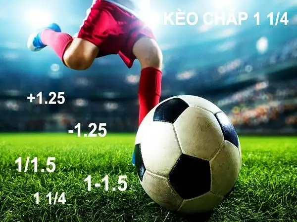 Kèo chấp 1.1/5: Nắm rõ cách chơi và kinh nghiệm cược